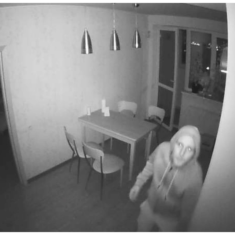 Détecteur de mouvement photo MotionCam Jeweller Ajax