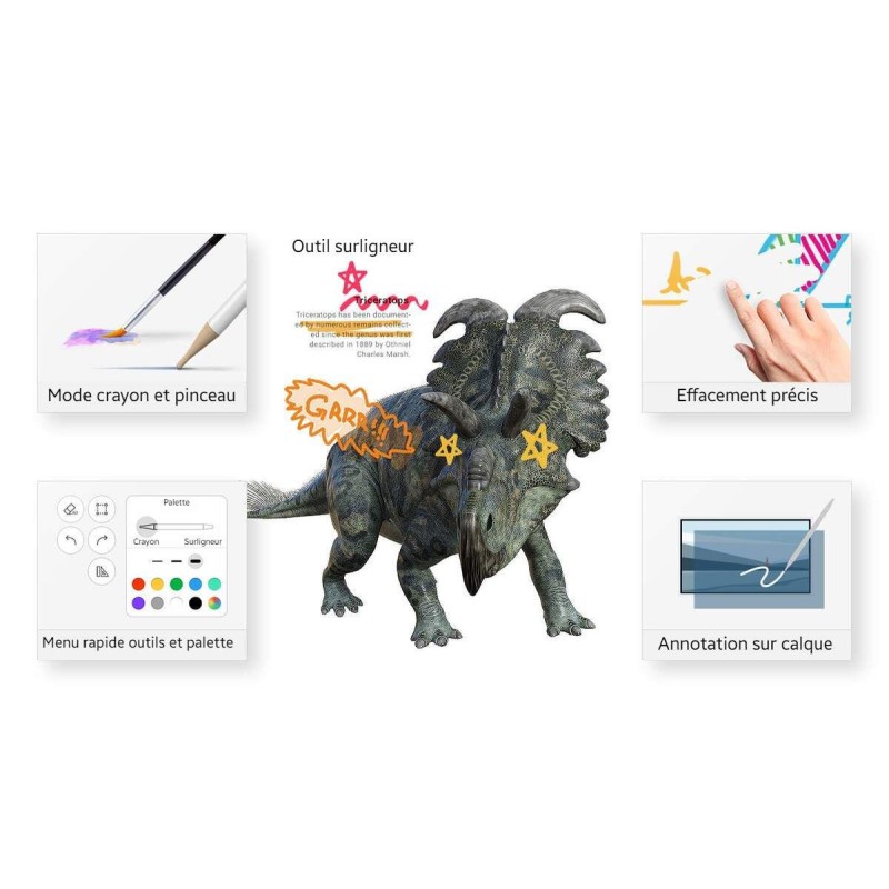 Ecran interactif Samsung Flip 4