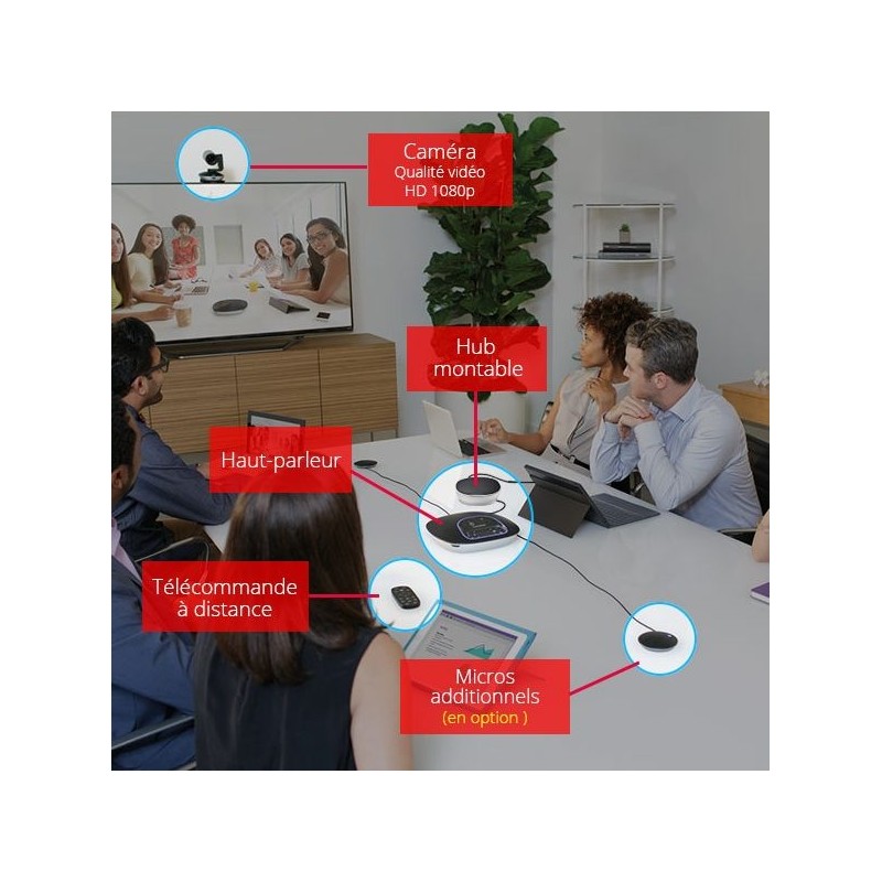Visioconférence Logitech Group